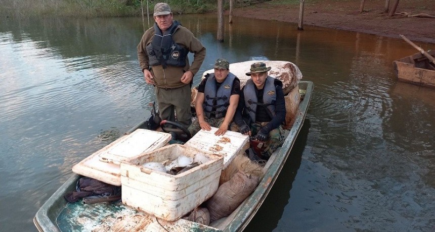 Misiones: El Gobierno Provincial intensifica la lucha contra la caza furtiva 