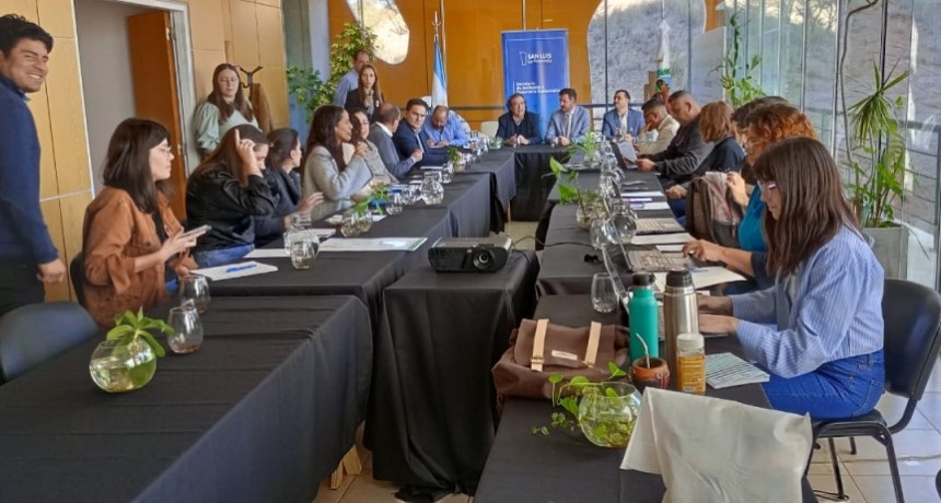 Nación participó del Consejo Consultivo local en San luis
