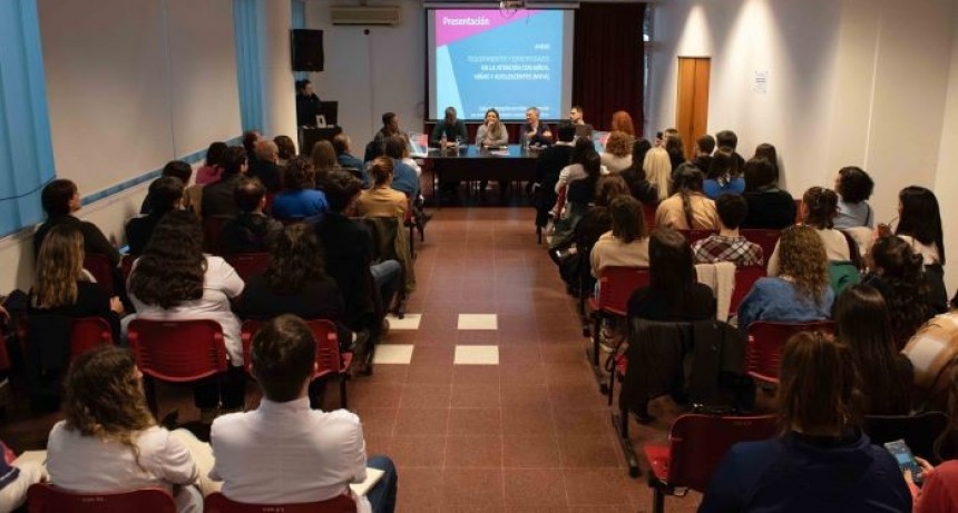 La Provincia presentó pautas para atención de urgencias por salud mental en infancias