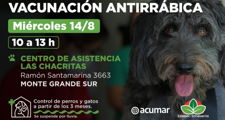 Esteban Echeverría: El Municipio realizara un nuevo operativo de vacunación antirrábica 