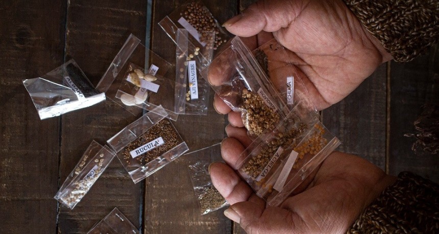 Moreno: Se entregan Kits de semillas agroecológicas para huertas