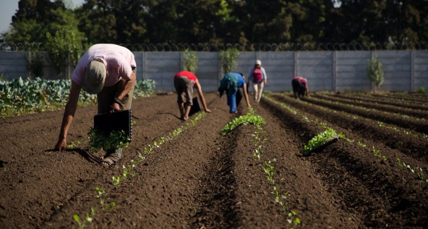 Aníbal Duarte: “Los pequeños productores son la garantía de la soberanía alimentaria. Los grandes terratenientes y las multinacionales solo especulan”
