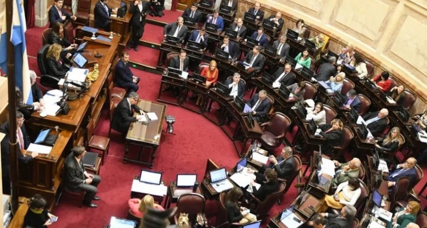 Formosa: Cómo votaron los senadores de la provincia la reforma de la Corte Suprema 