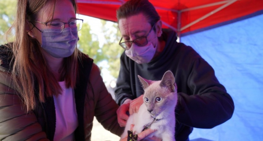 Ituzaingó: Jornada por el Día Mundial contra la rabia 