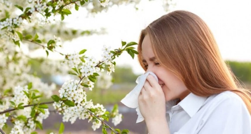 Alergias de primavera: cuáles son las más frecuentes, cómo prevenirlas y cómo tratarlas
