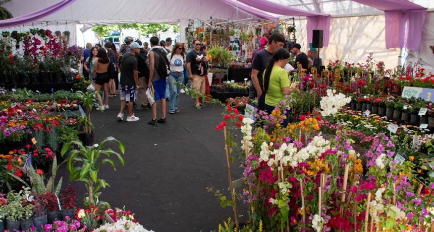 Moreno: El Municipio celebra la primavera con tres grandes eventos culturales en la Plaza Dr. Buján