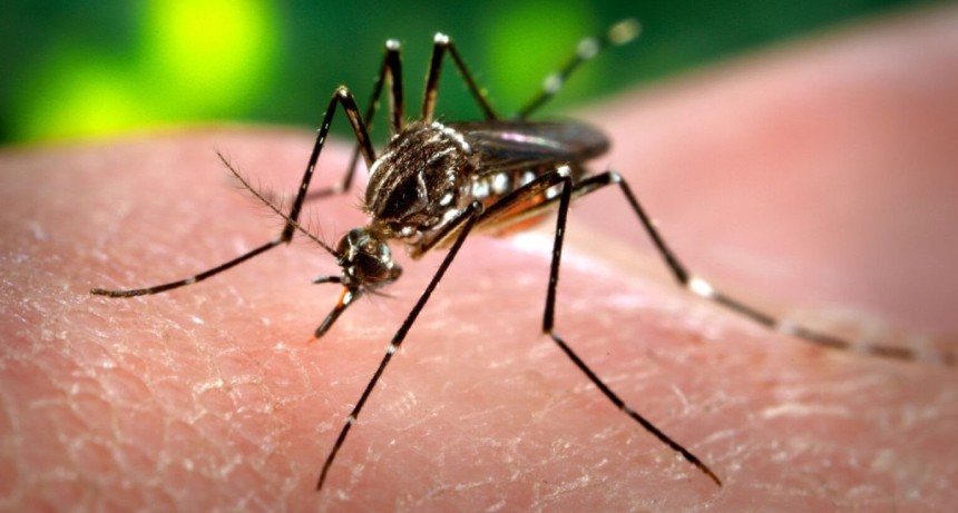 Mor&oacute;n: La Municipalidad refuerza la campa&ntilde;a de prevenci&oacute;n contra el dengue