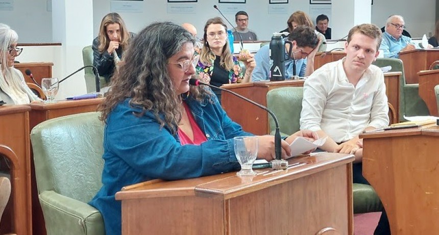 San Isidro: Concejala del FDT pidió que Posse aclare el posible vínculo entre el Municipio y los grupos de ultraderecha involucrados en el atentado a CFK