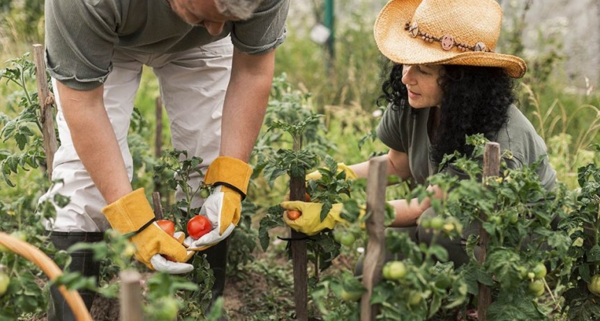 Aníbal Duarte: “El Gobierno sigue generando políticas para los sectores que especulan y son responsables de la situación inflacionaria. Los productores de maíz y soja controlan la economía del país” 