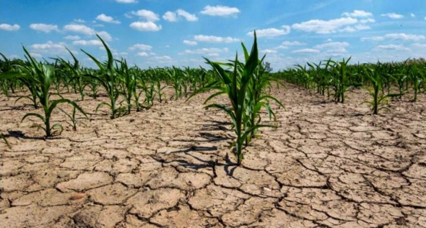Gral. Villegas: Emergencia Agropecuaria por Sequía