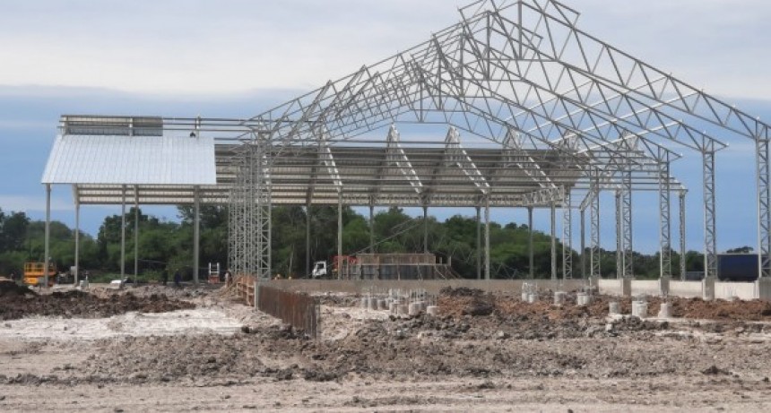 Formosa: Avanza la construcción de la planta biosiderúrgica