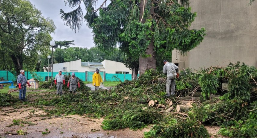 San Andrés de Giles: La Municipalidad trabaja quitando árboles y ramas caídas