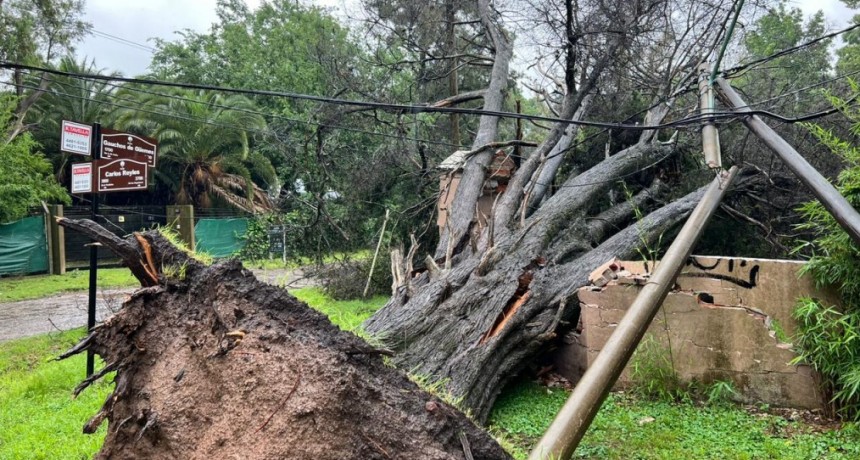 Ituzaingó: Declaran el Estado de Emergencia debido a daños por el Temporal